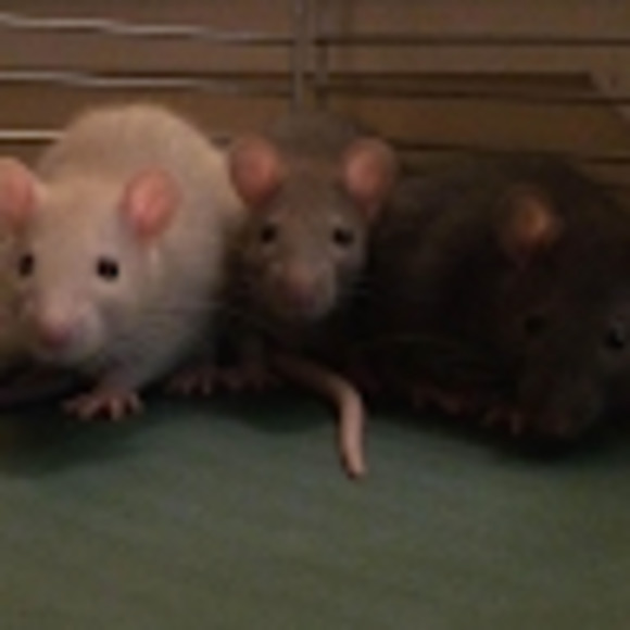 Meet your Posher, Marlys - Picture 1 of 1